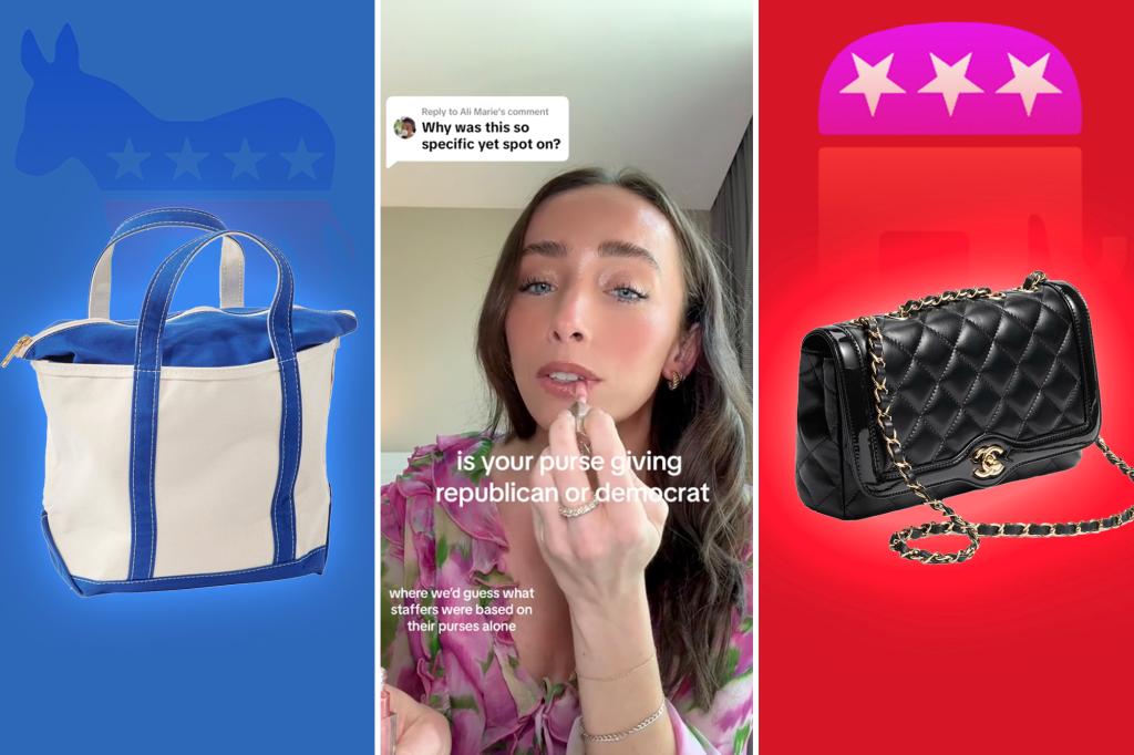 Does your bag show how you vote? Brands that (subtly) show support