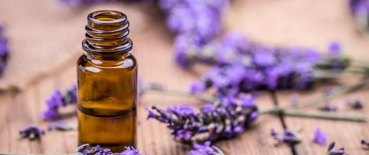 Chegada da primavera impulsiona uso de óleos essenciais florais para saúde física e emocional - Imagem do artigo