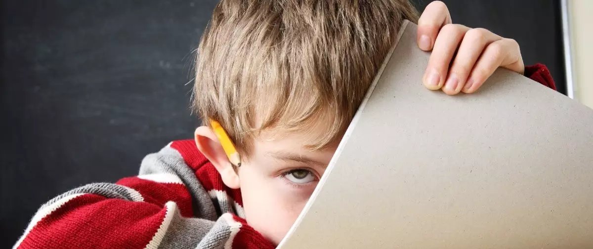 TDAH: quais são os sintomas verdadeiros na infância e na vida adulta - Imagem do artigo