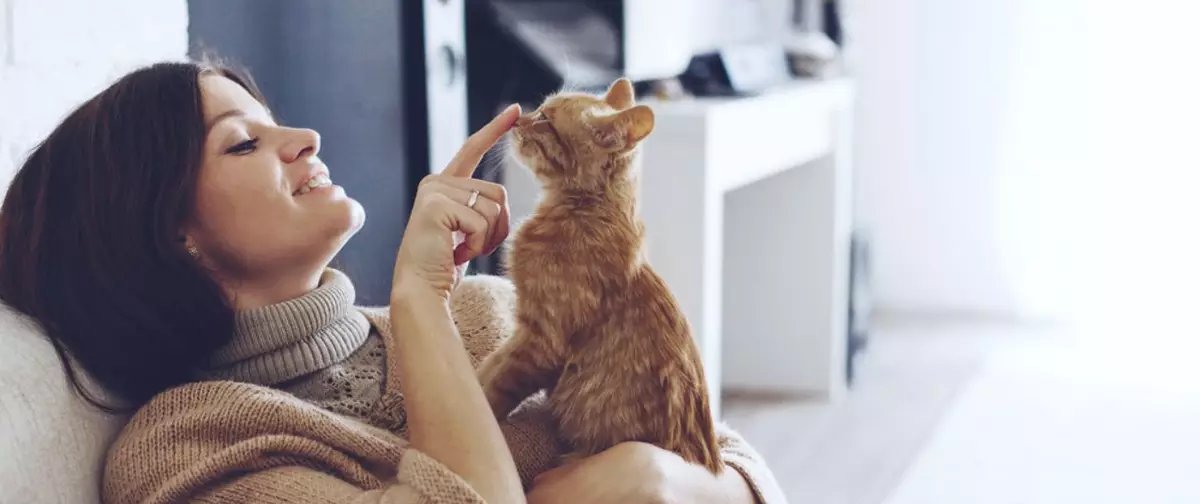 Crenças esotéricas atribuem significados à cor da pelagem dos gatos - Imagem do artigo