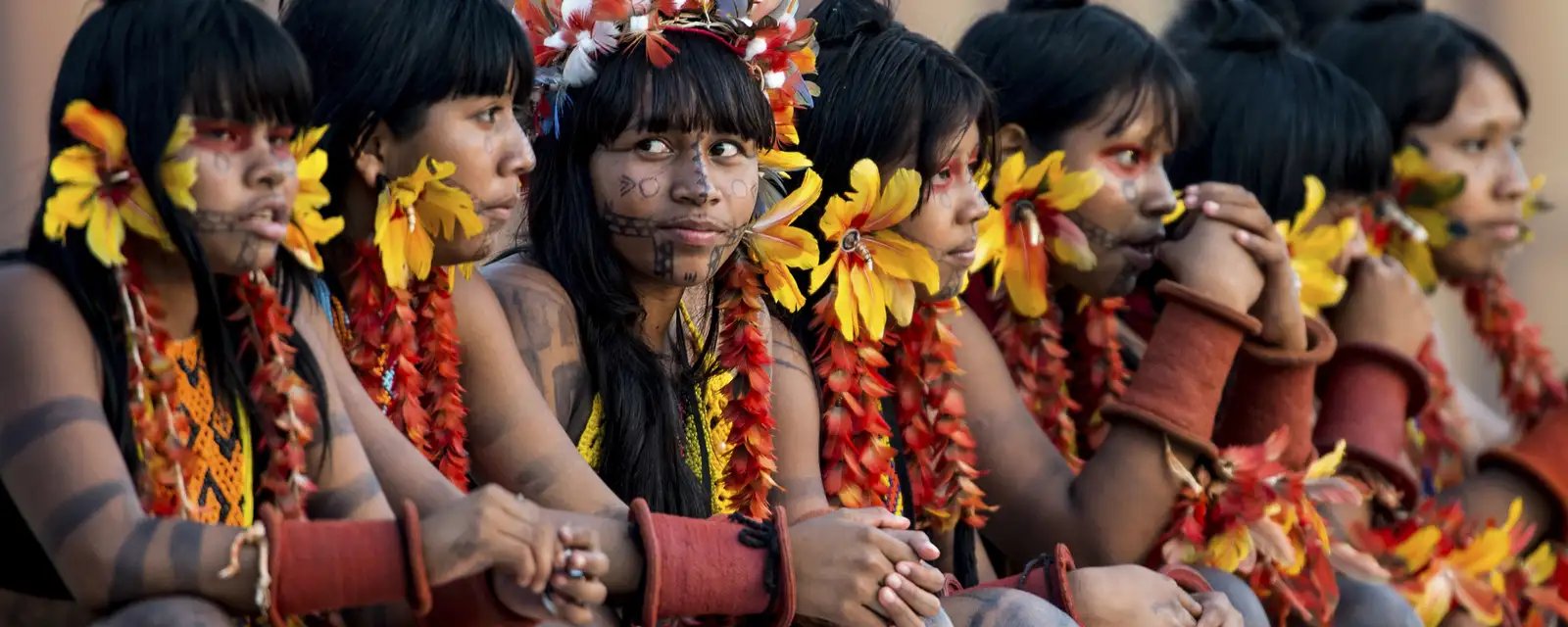 Programa federal de saúde alcança mais de 24 mil indígenas em áreas remotas - Imagem do artigo