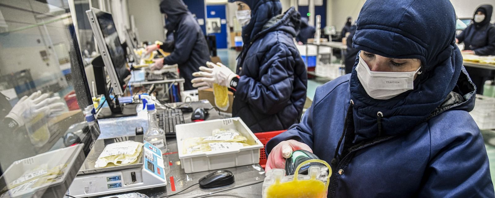 Dia Mundial da Hemofilia reforça necessidade de diagnóstico precoce - Imagem do artigo