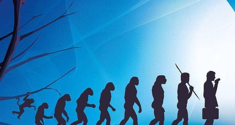 Estudo aponta limitações evolutivas em coluna, pélvis, dentes e seios da face e contesta ideia de “design inteligente” do corpo humano - Imagem do artigo original