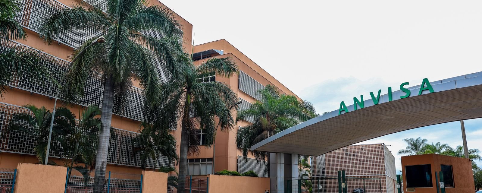 Anvisa redefine limites e determina nova advertência para suplementos de cúrcuma - Imagem do artigo