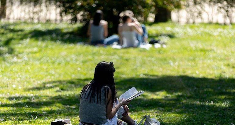 Leitura profunda fortalece conexões cerebrais e sofre com excesso de telas, dizem pesquisadores - Imagem do artigo original