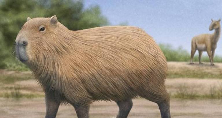 Fóssil confirma presença de ancestral gigante da capivara no Chile - Imagem do artigo original