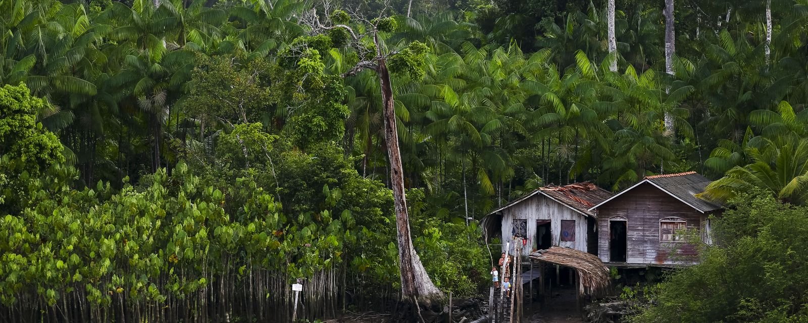 Projeto gratuito no Norte do país amplia tratamento para Doença de Jorge Lobo - Imagem do artigo