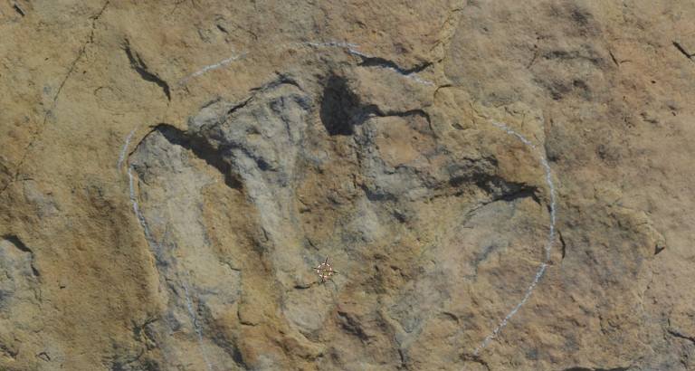 Expedição identifica pegada gigante de dinossauro carnívoro no sertão da Paraíba - Imagem do artigo original
