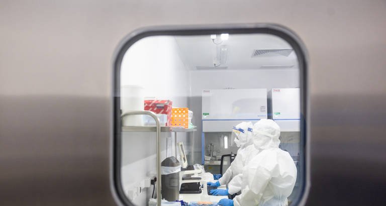 Instituto Pasteur vai monitorar ratos em São Paulo para rastrear vírus capazes de atingir humanos - Imagem do artigo original