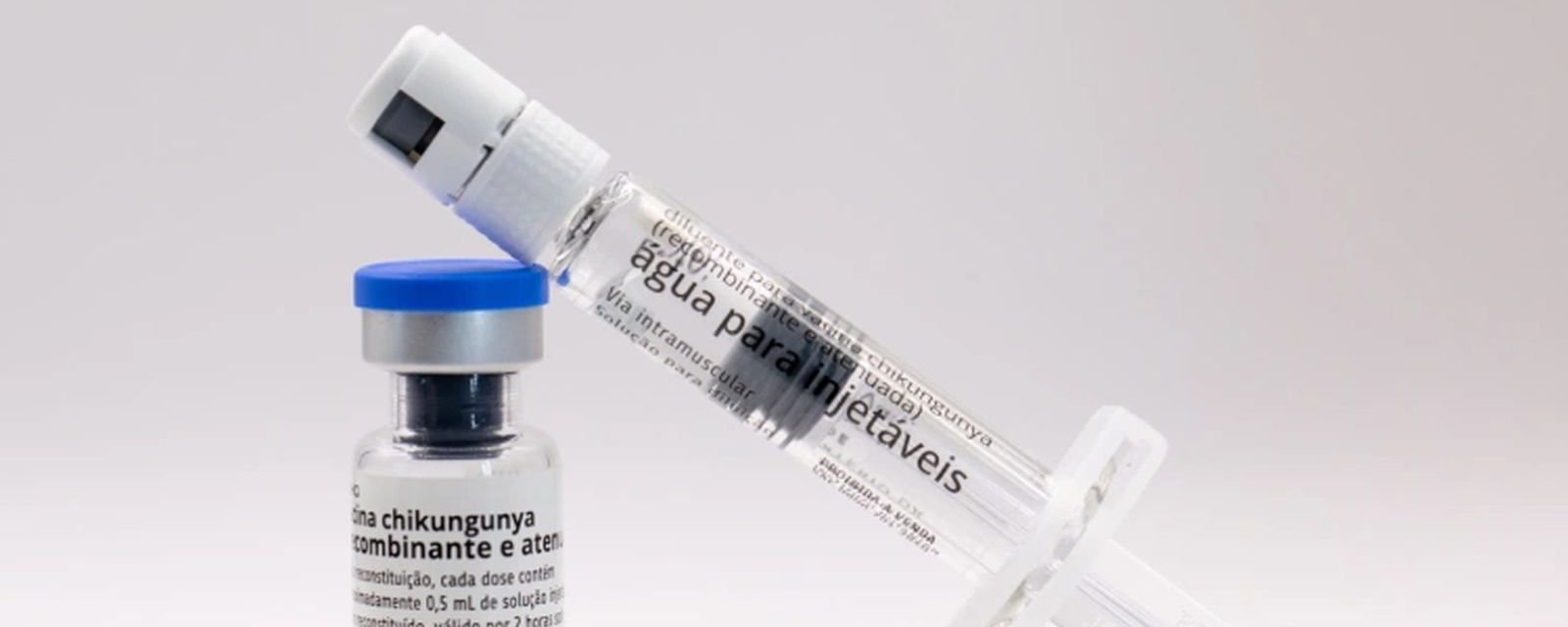 Anvisa autoriza Instituto Butantan a fabricar vacina contra chikungunya no país - Imagem do artigo