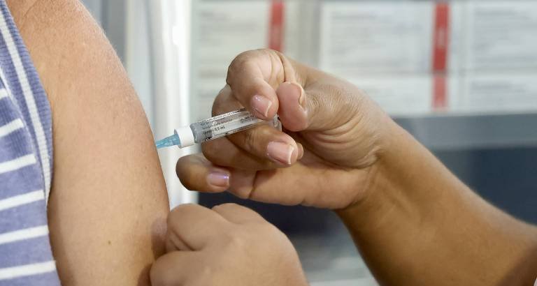 Anvisa libera produção nacional da vacina contra chikungunya do Instituto Butantan - Imagem do artigo original