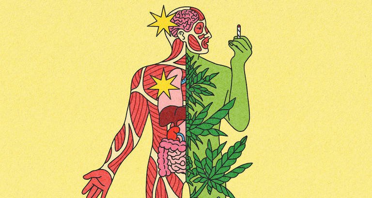 Médicos apontam benefícios limitados e riscos crescentes no uso de cannabis para a saúde - Imagem do artigo original