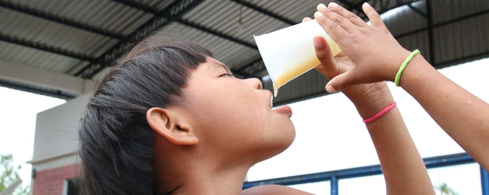 Consumo de ultraprocessados avança entre povos tradicionais e substitui alimentos históricos da dieta - Imagem do artigo