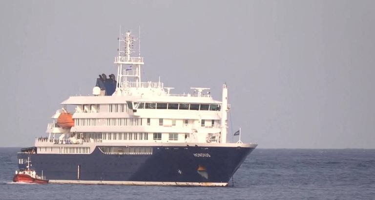 OMS apura possível transmissão de hantavírus em cruzeiro holandês; três passageiros morreram - Imagem do artigo original