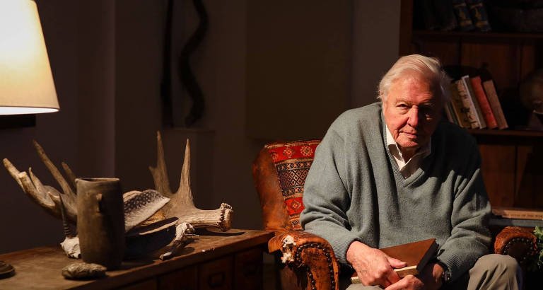 Aos 100 anos, David Attenborough lança documentário sobre dinastia de gorilas em Ruanda - Imagem do artigo original
