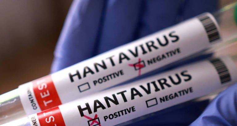 Estudo sobre surto de hantavírus na Patagônia em 2018 indica que isolamento precoce foi decisivo - Imagem do artigo original