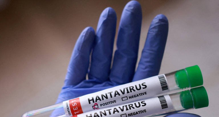 Surto de hantavírus em cruzeiro holandês provoca três mortes e reacende temores da era Covid - Imagem do artigo original
