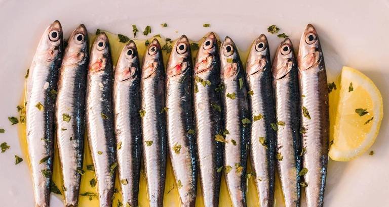 Sardinha alia preço acessível e alto valor nutritivo; entenda os três principais benefícios - Imagem do artigo original