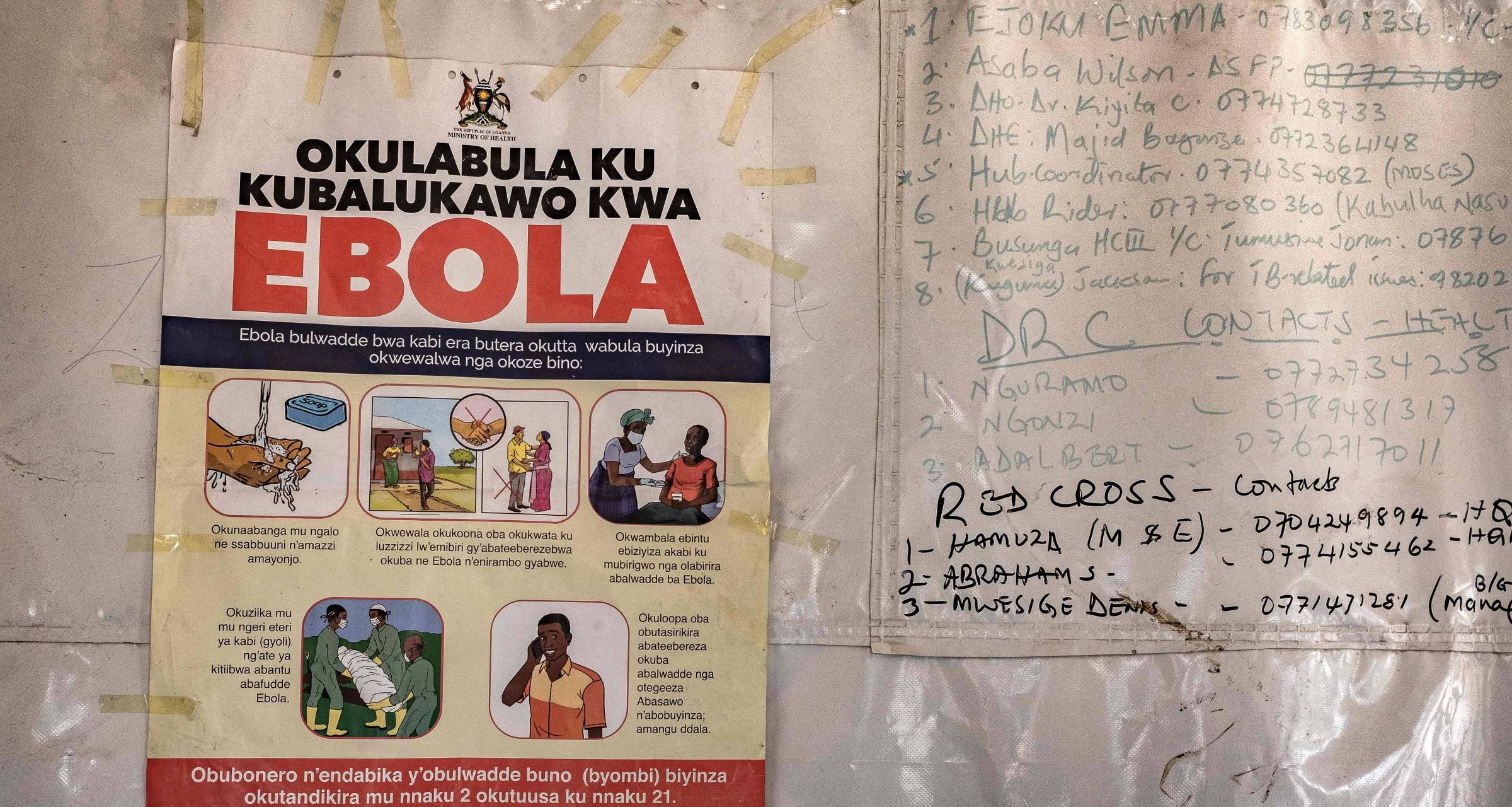 Especialistas veem baixo risco de ebola no Brasil, mas governo reforça vigilância após alerta da OMS - Imagem do artigo