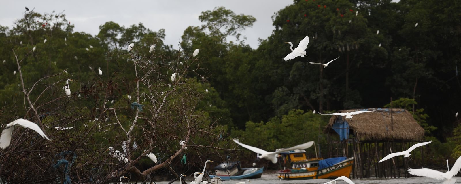 Governo lança programa “Amazônia Soberana” para reforçar combate ao crime em fronteiras - Imagem do artigo