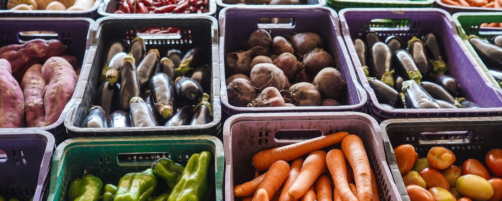 INCAvoluntário lança campanha para reforçar alimentação de pacientes oncológicos carentes - Imagem do artigo