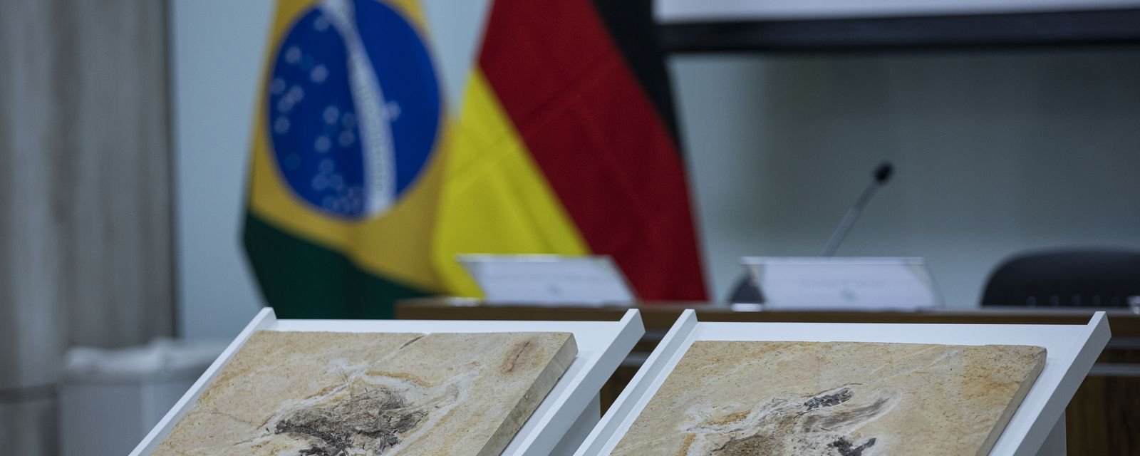 Brasil negocia repatriação de fósseis e bens culturais espalhados por 14 países - Imagem do artigo