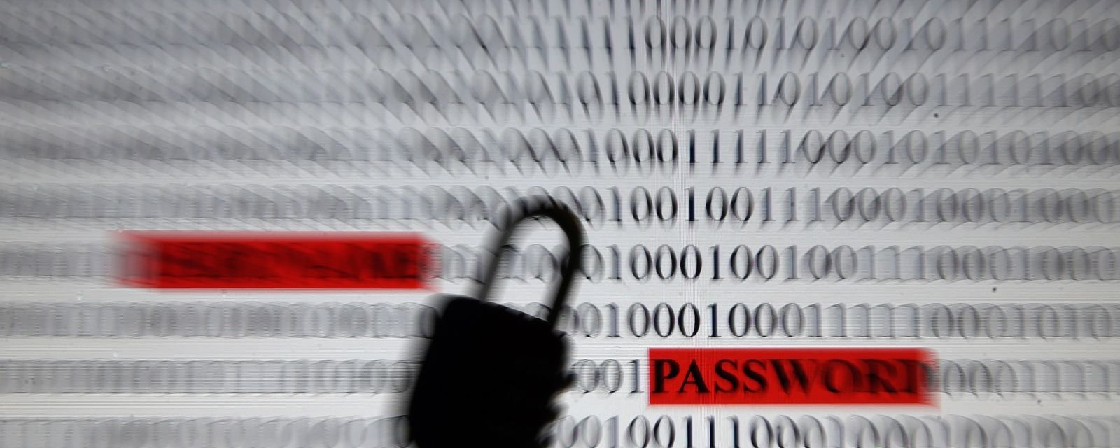 Governo distribui kit com orientações para prevenir golpes digitais - Imagem do artigo